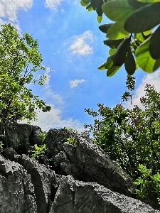 View vegetation green rock Photo