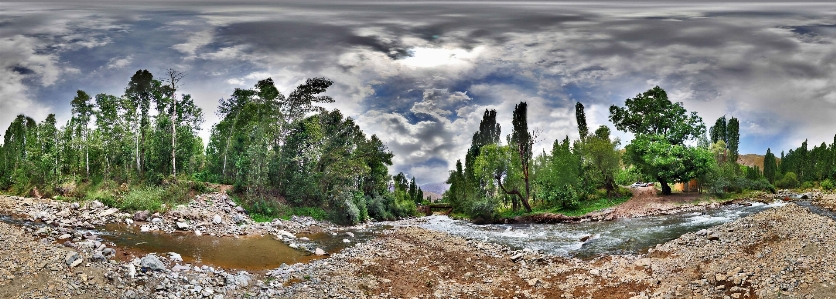 Landscape tree water nature Photo