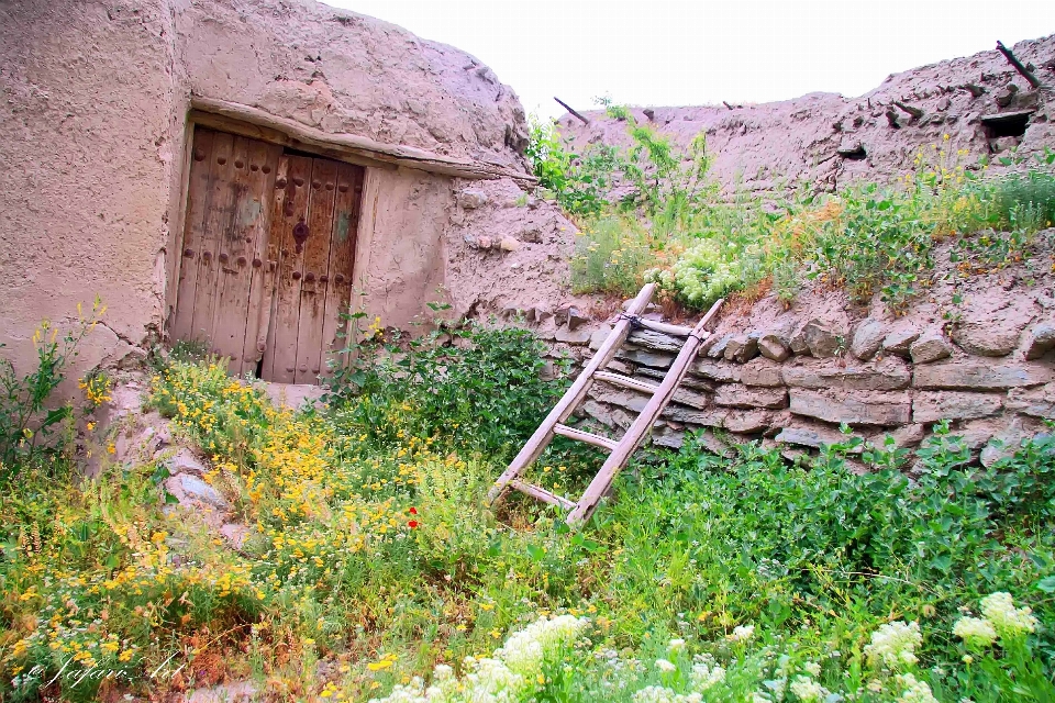 Door flower outdoor village