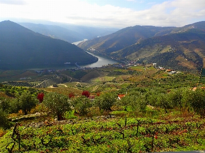 Photo Le portugal douro
 vignobles
 rivière