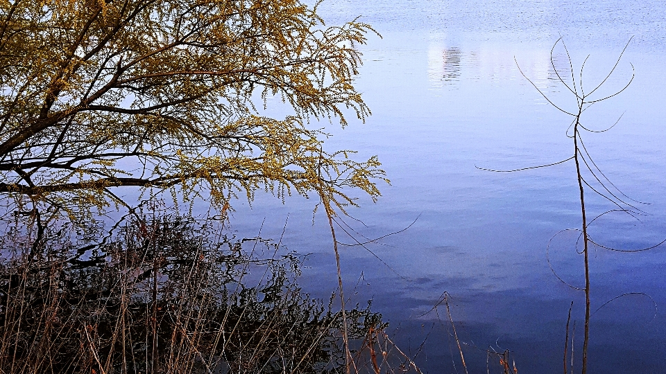 Danau tepi danau
 air korea