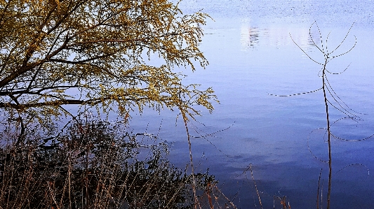 Foto Danau tepi danau
 air korea