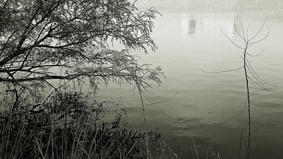 Lago à beira do lago
 água coréia