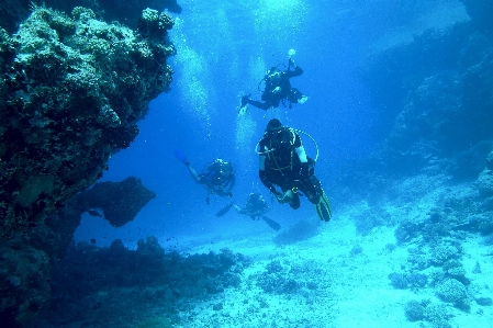 Scuba diving underwater water marine biology Photo