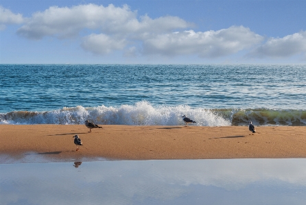 Sea wave body of water sky Photo