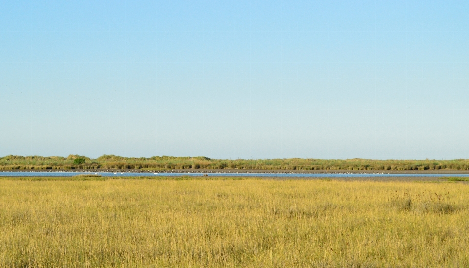 Sky grassland plain natural environment