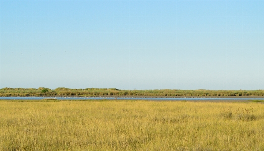 Sky grassland plain natural environment Photo