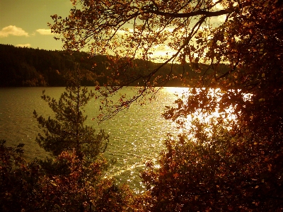 Tree nature sky natural landscape Photo