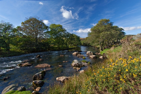 Natural landscape nature river water Photo