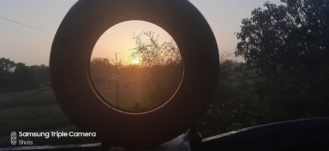 太陽 空 日光 朝 写真