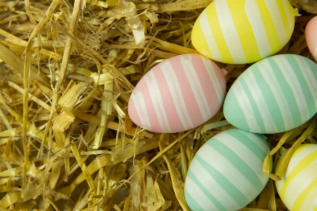 Easter egg food Photo