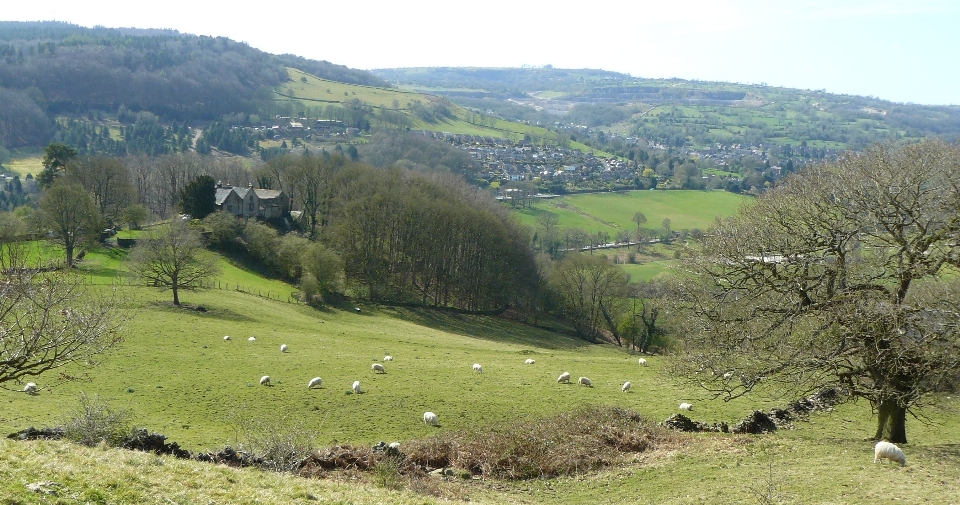 Oveja campo inglaterra tierras altas