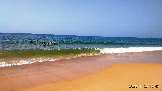 Beach body of water sea shore Photo