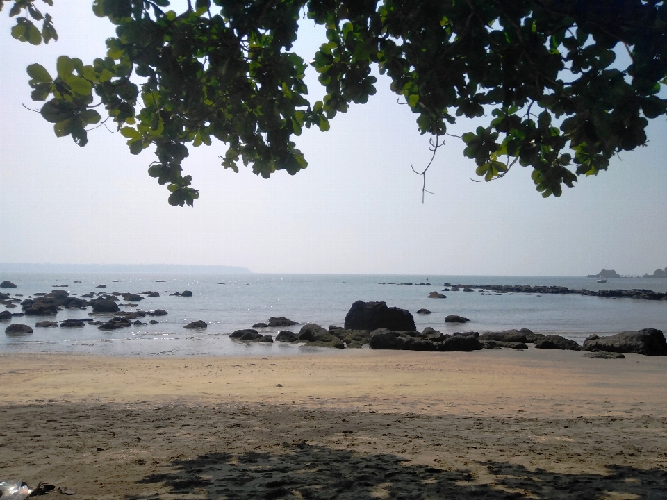 Pesisir badan air
 langit pantai