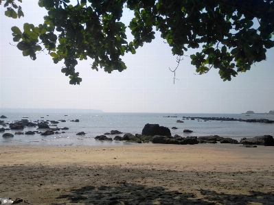 Coast body of water sky beach Photo