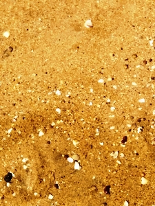 Gold yellow glitter sand Photo