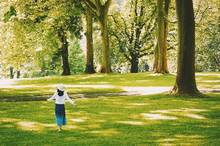 自然の中の人々
 木 自然 緑 写真