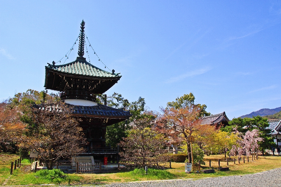 日本 日本建築
 中国の建築
 建築