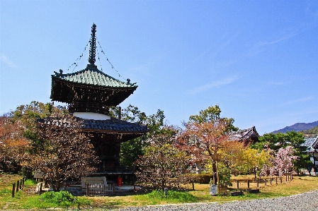 Japan japanese architecture chinese Photo