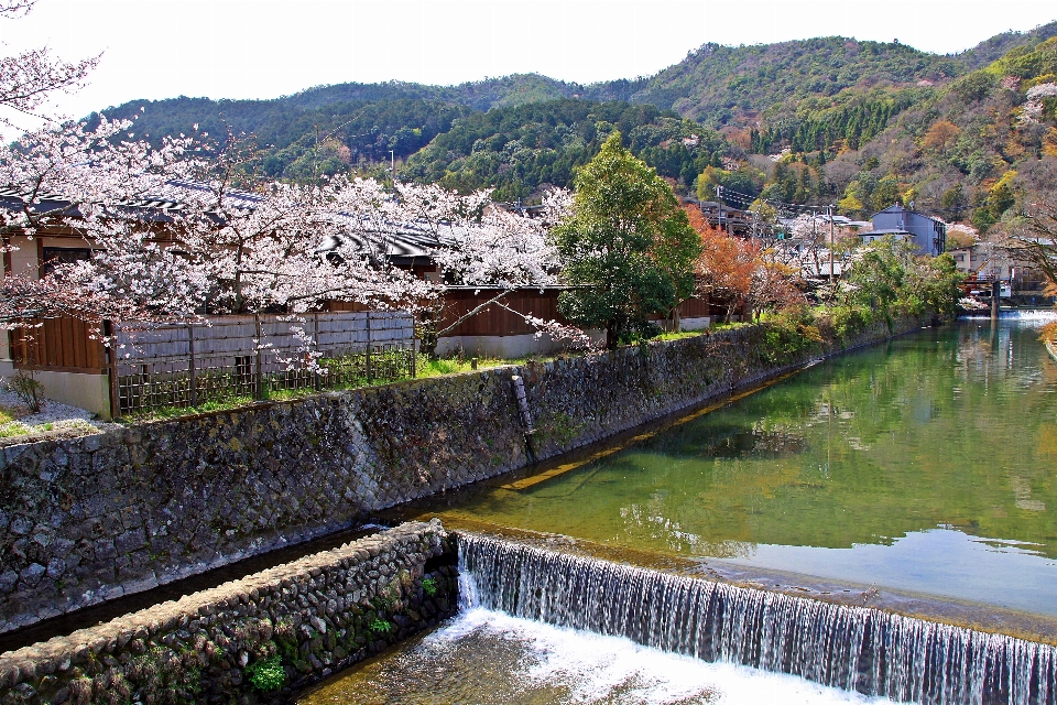 Japan water resources waterway