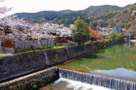 Japan water resources waterway Photo