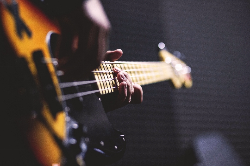 Guitarra instrumento de cuerda
 musical guitarrista