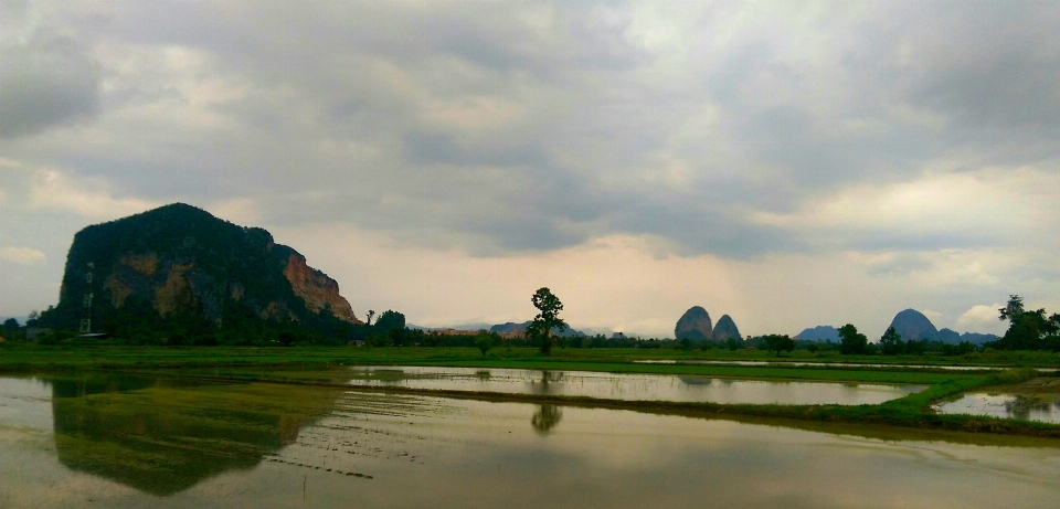 Kedah malaysia country wetland