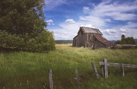 Abandoned barn sky grass Photo