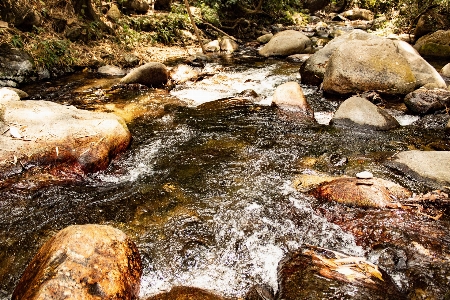 Natural stream body of water Photo