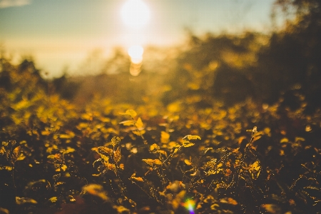 People in nature sky yellow Photo