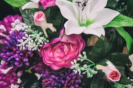 Flower flowering plant petal bouquet Photo