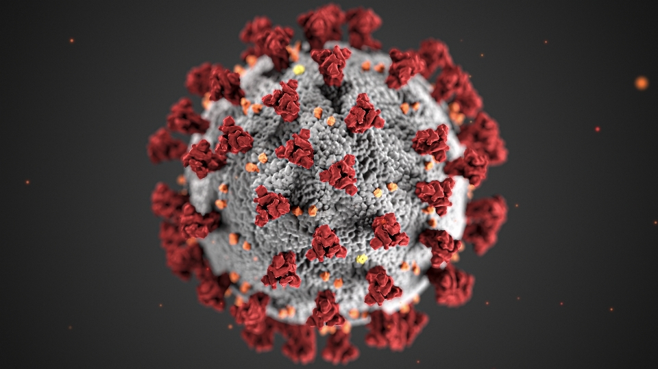 Covid-19
 coronavirus
 celúla pandemia