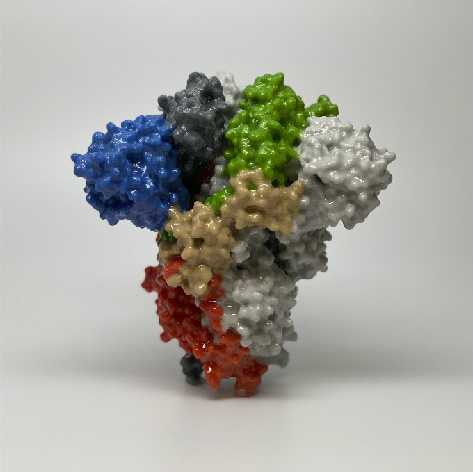 Covid 19 coronavirus cell