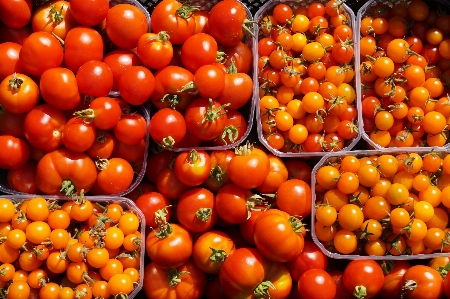 Foto Pomodori
 frutta arancia alimenti naturali
