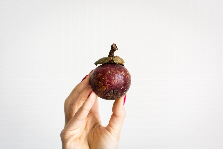 Foto Delima tangan manggis ungu
 buah