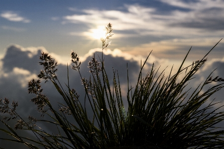 Natural sky cloud nature Photo