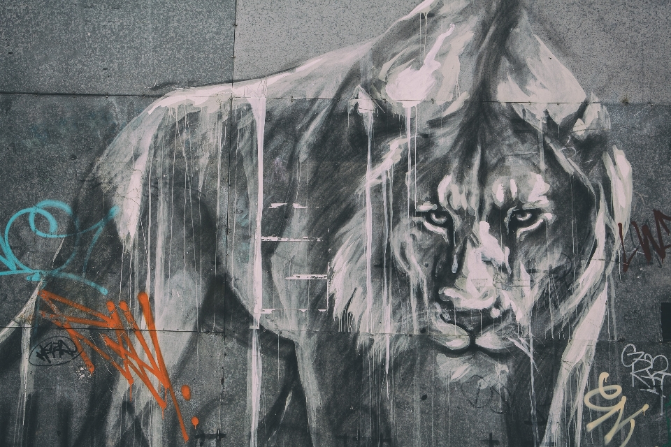 Street art wall felidae