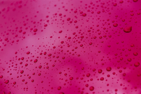 Pink water red magenta Photo