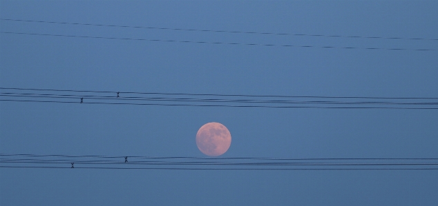 月 空 満月 天体の出来事
 写真