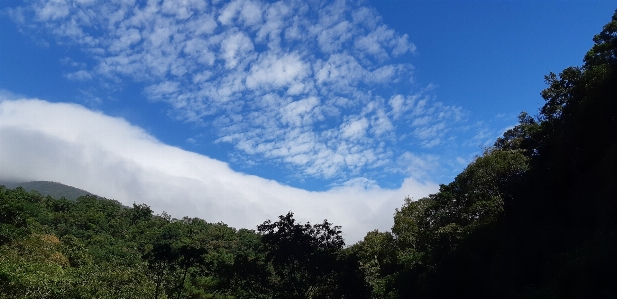 Foto 201812 ular
 langit awan