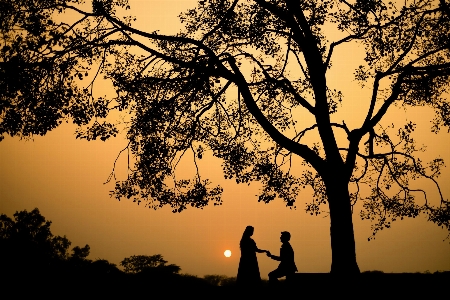 Photo Avant mariage
 forêt aimer shilouttes
