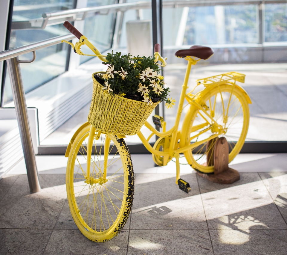 Roue de vélo
 vélo jaune partie