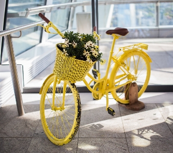 Bicycle wheel yellow part Photo