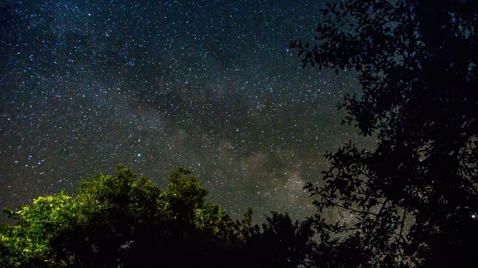 夏 夜 天の川
 空