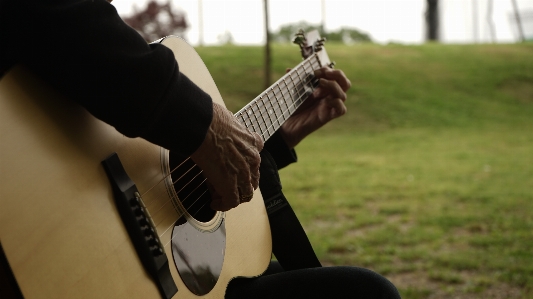 Guitar park music acoustic Photo