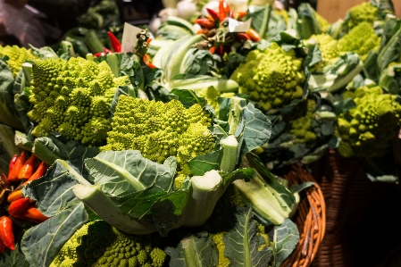 Leaf vegetable flower cruciferous vegetables broccoli Photo