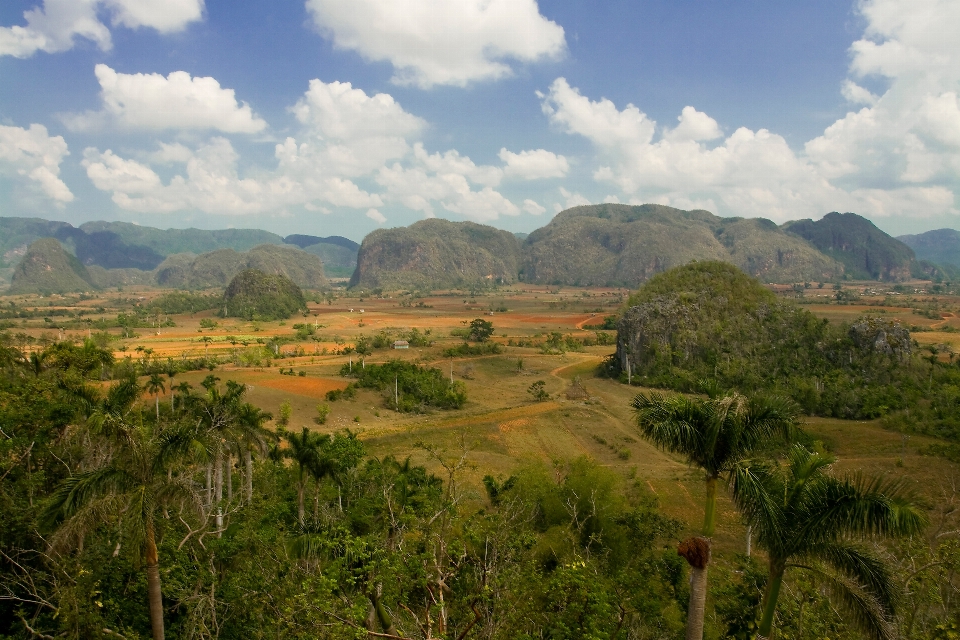 Mountainous landforms highland vegetation nature