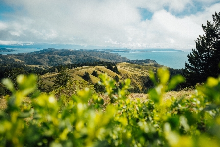 Nature natural landscape sky vegetation Photo