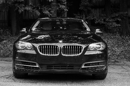 Black bmw beamer 528i Photo