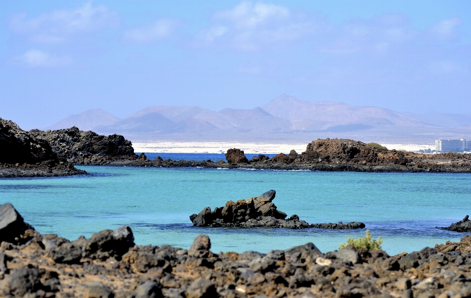 Fuertventura
 pulau canary
 serigala
 laut